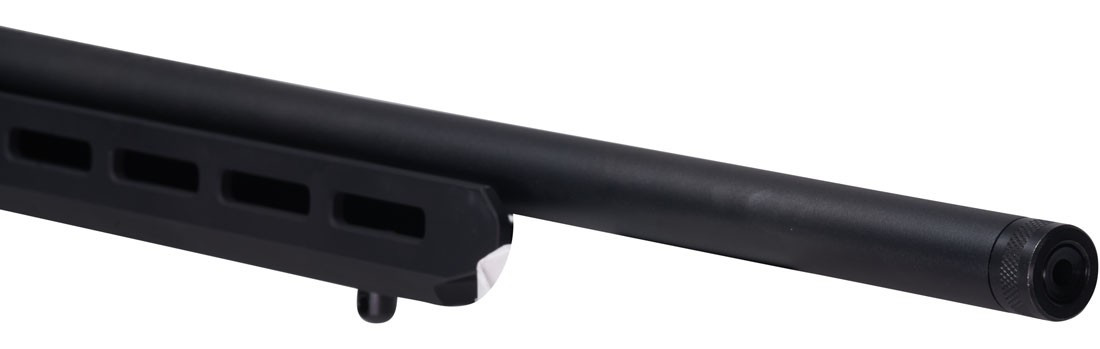 carabina-semiautomatica-savage-a22-precision-22-lr